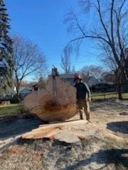 Professional landscaping services in Franklin, WI by AAA Tree Service