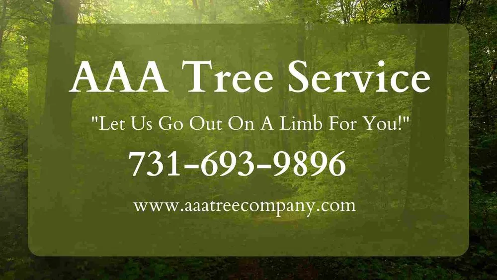 Custom yard maintenance for residential properties in Trenton, TN by AAA Tree Service