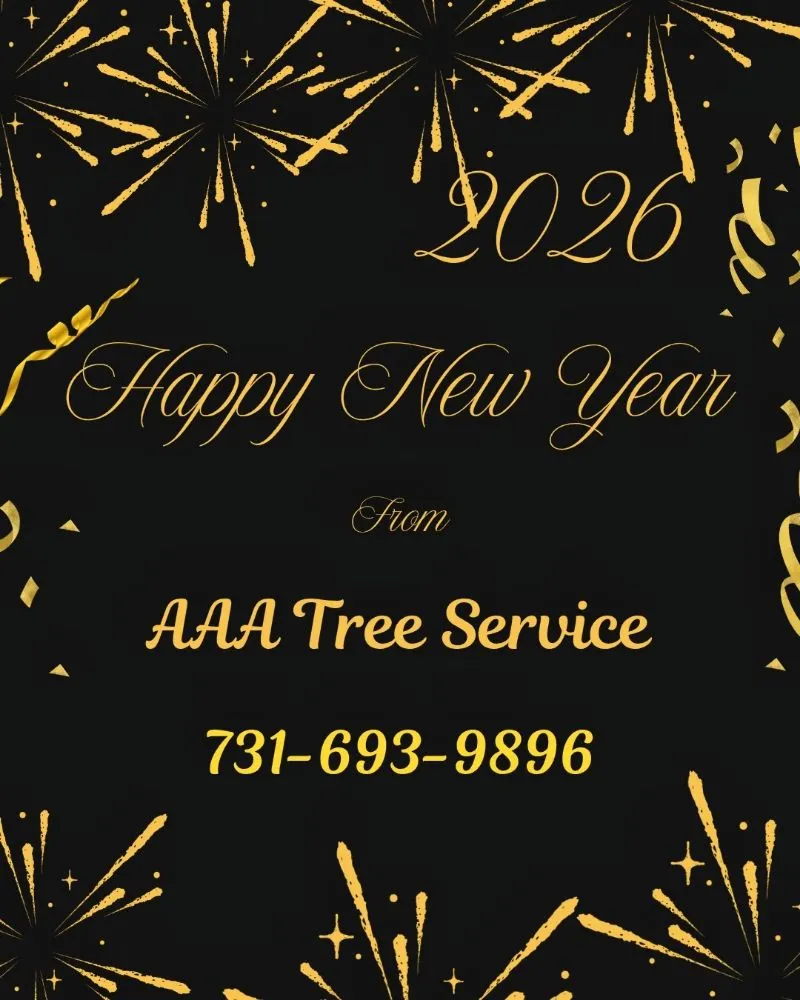 Expert landscaping services experts serving Trenton, TN - AAA Tree Service
