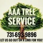 Top-rated landscape design for beautiful yards across Trenton, TN - AAA Tree Service