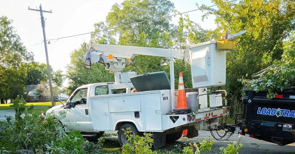 Reliable outdoor landscaping for homes across Trenton, TN - AAA Tree Service