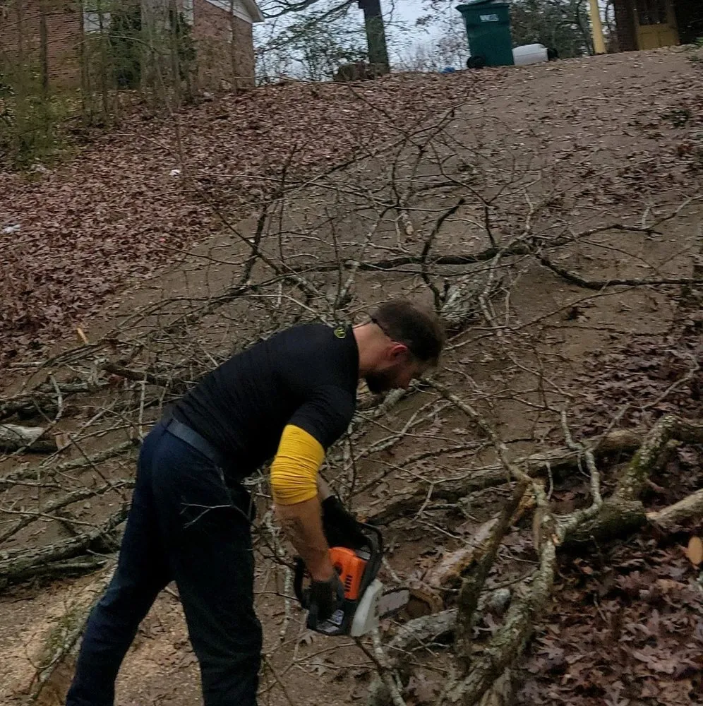 Professional lawn mowing service for year-round maintenance in Trenton, TN by AAA Tree Service