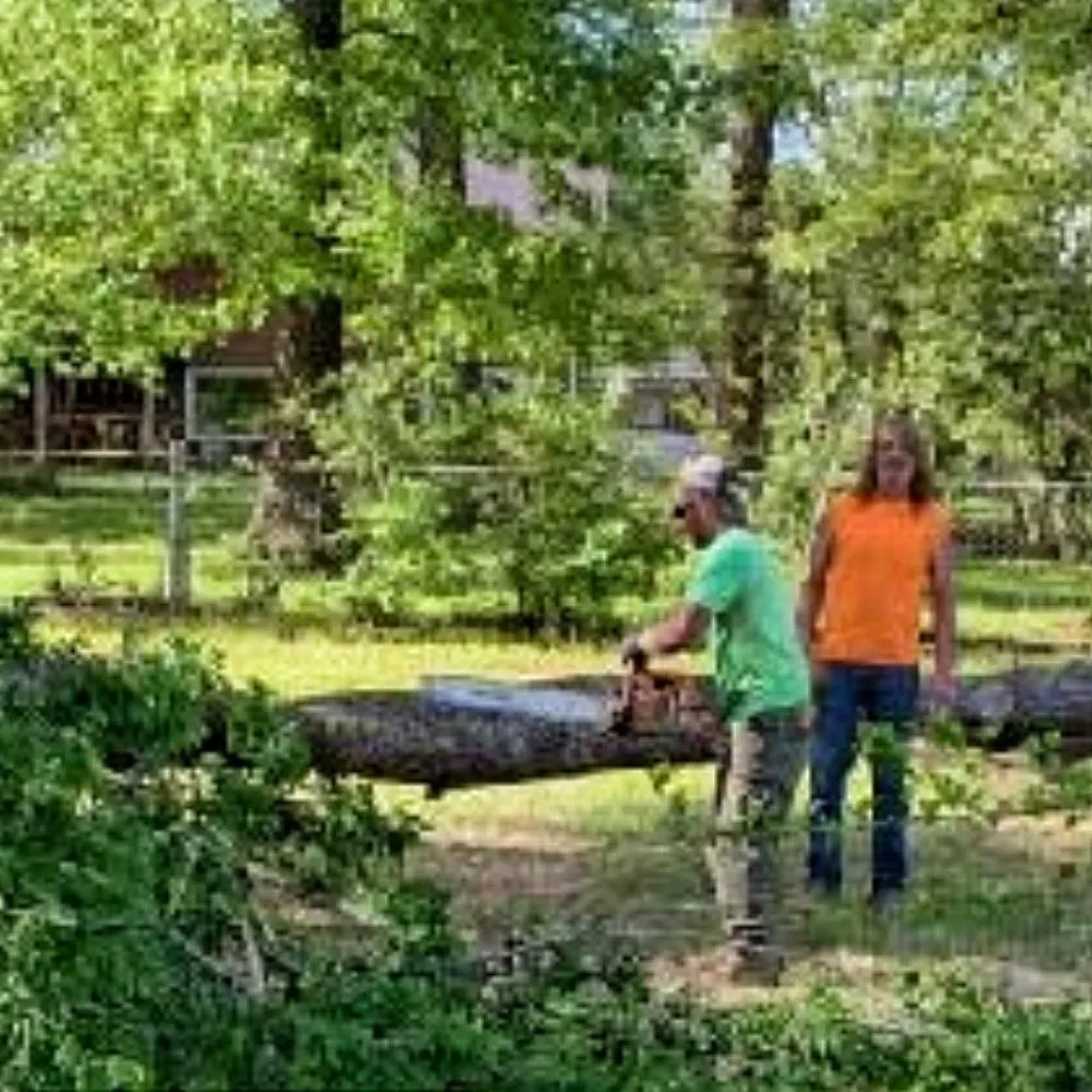 Professional landscape installation in Trenton, TN by AAA Tree Service