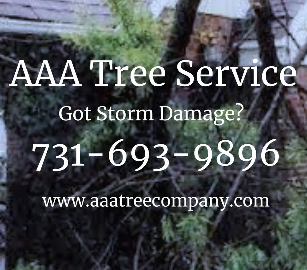 Custom lawn mowing service for year-round maintenance in Trenton, TN by AAA Tree Service