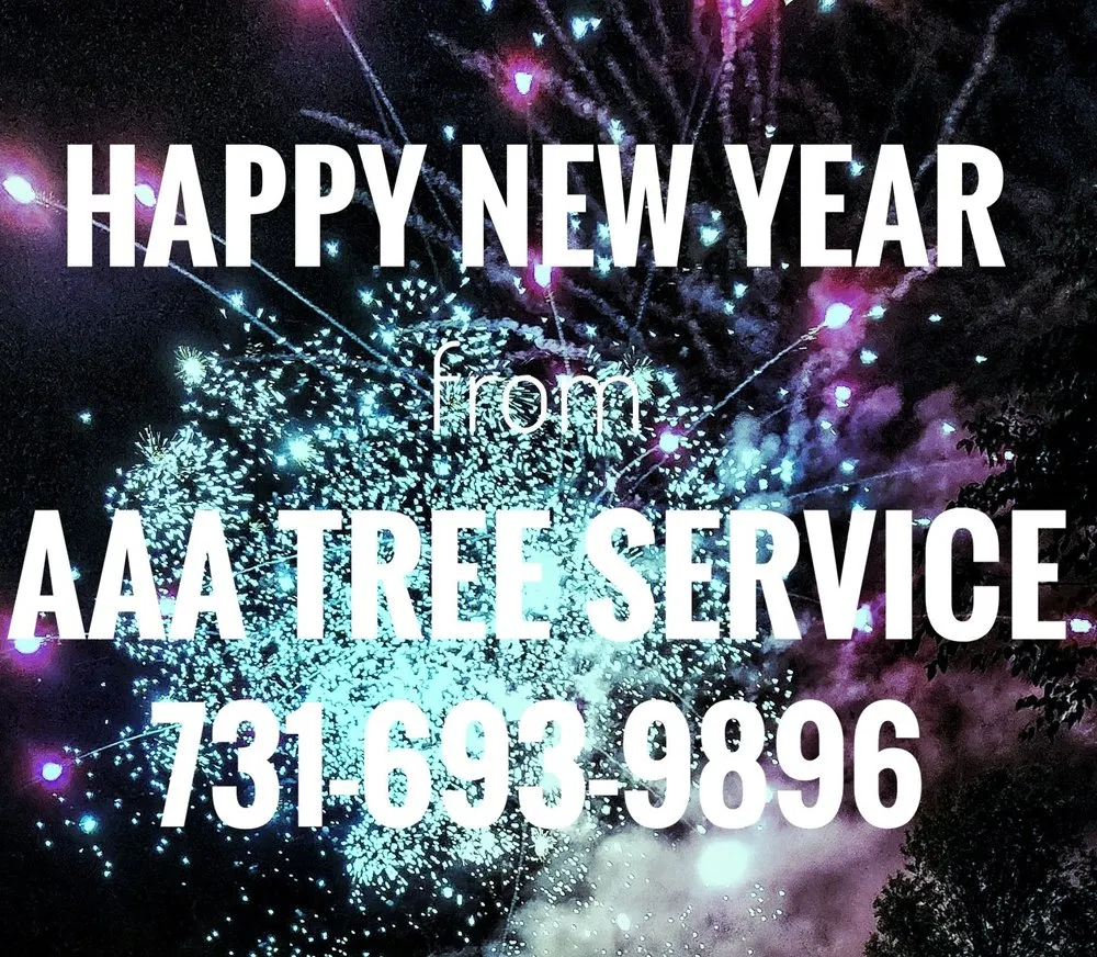 Top-rated lawn care service in Trenton, TN - AAA Tree Service