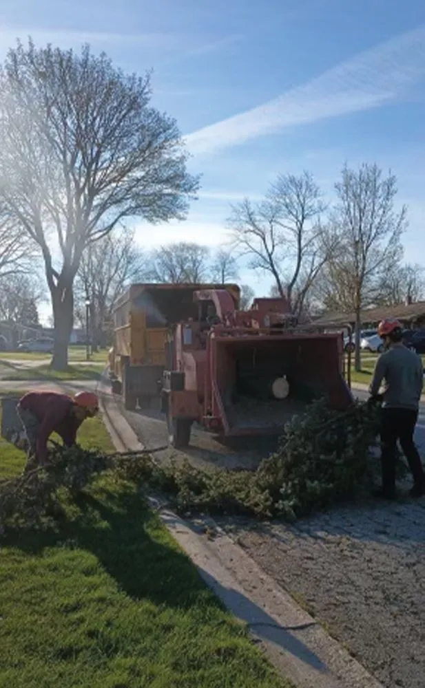 Expert landscaping services in Des Plaines, IL - AAA Tree Solutions