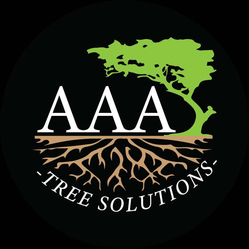 Top-rated landscape design in Des Plaines, IL by AAA Tree Solutions
