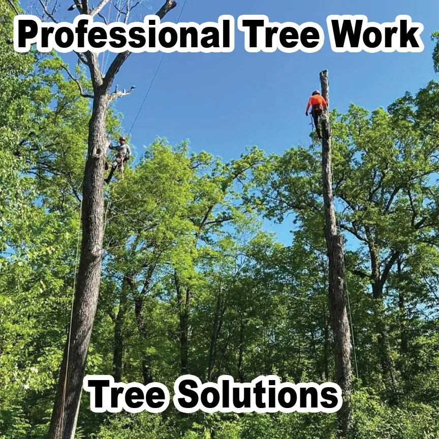 Local garden landscaping in Des Plaines, IL - AAA Tree Solutions