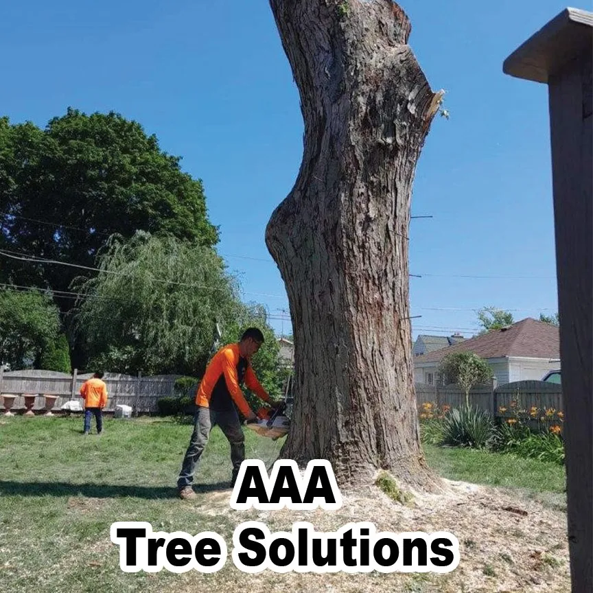 Affordable garden landscaping with custom design in Des Plaines, IL by AAA Tree Solutions
