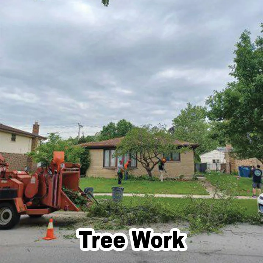 Custom yard maintenance for year-round maintenance across Des Plaines, IL - AAA Tree Solutions