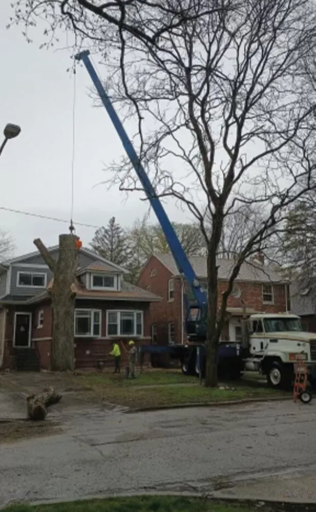 Local lawn mowing service near you across Des Plaines, IL - AAA Tree Solutions