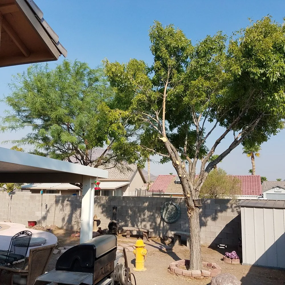 Professional landscaping services for residential properties across Las Vegas, NV - AAA Tree Specialist