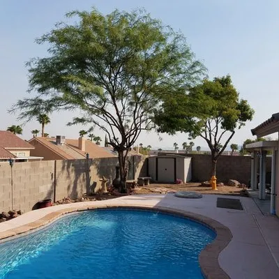 AAA Tree Specialist Logo