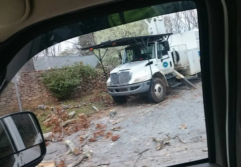 Reliable yard cleanup service for outdoor upgrades in Union, SC by AAA Union Tree Service & Stump Removal