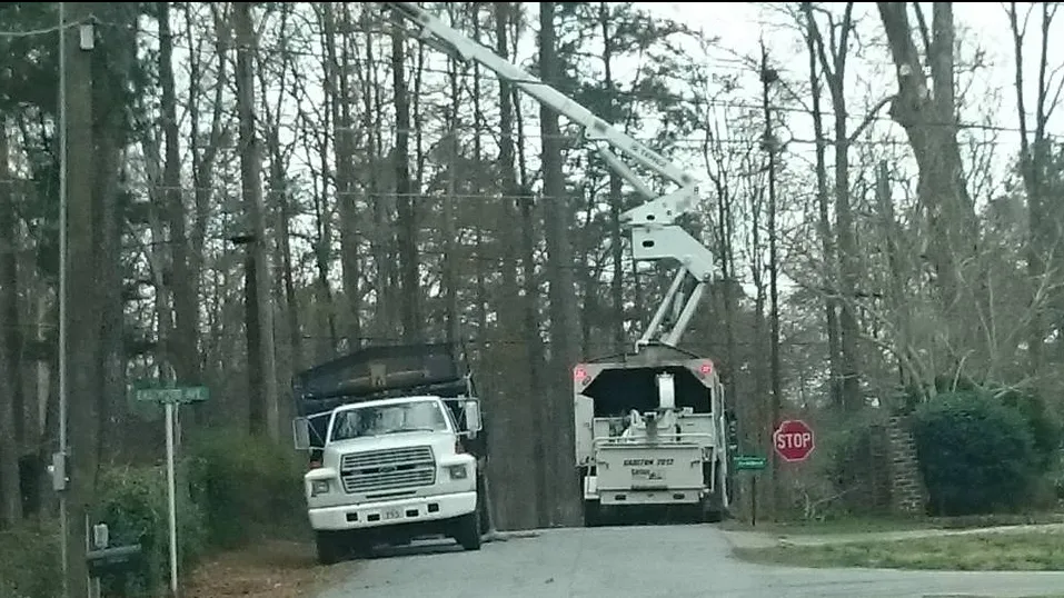 Professional garden landscaping in Union, SC - AAA Union Tree Service & Stump Removal