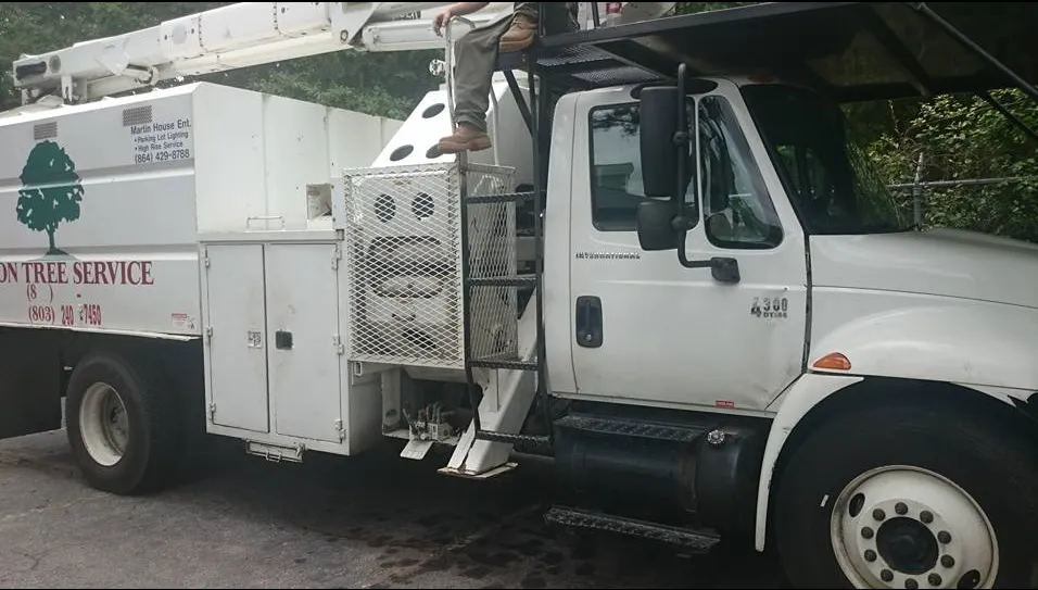 Professional residential landscaping in Union, SC - AAA Union Tree Service & Stump Removal