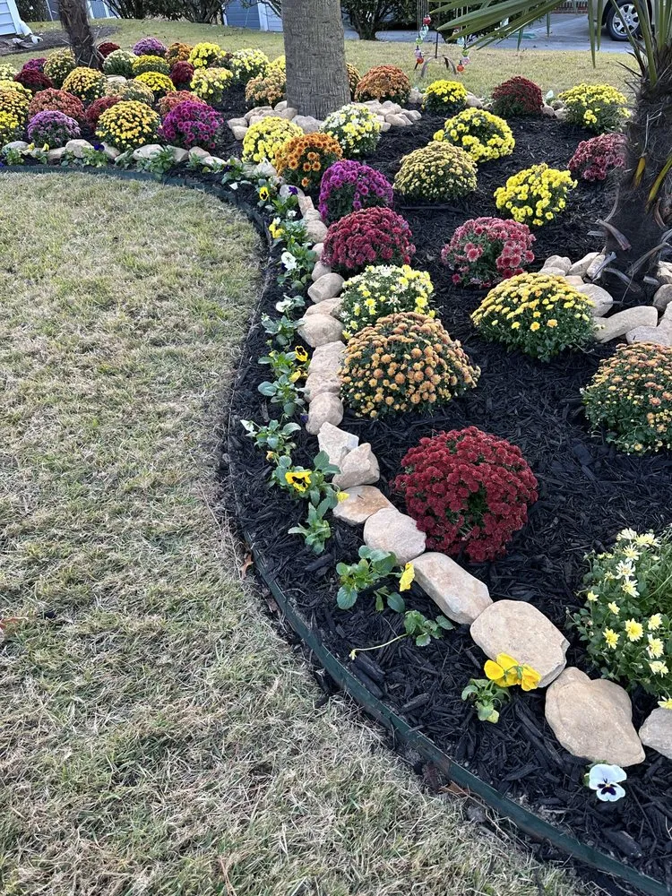 Expert landscape design in Union, SC - AAA Union Tree Service & Stump Removal