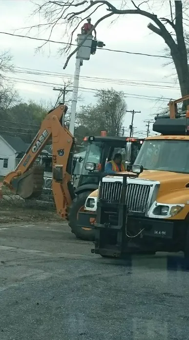Custom yard cleanup service in Union, SC by AAA Union Tree Service & Stump Removal