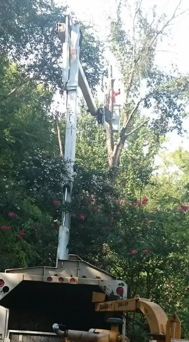 Professional lawn mowing service for residential properties in Union, SC by AAA Union Tree Service & Stump Removal