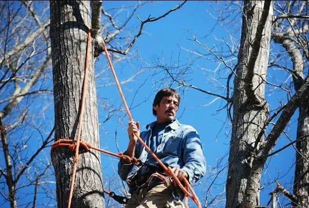 Reliable lawn mowing service experts serving Union, SC - AAA Union Tree Service & Stump Removal