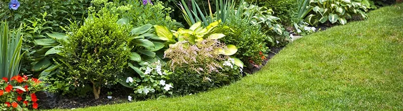 Affordable landscape design in Union, SC - AAA Union Tree Service & Stump Removal