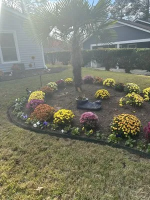 AAA Union Tree Service & Stump Removal