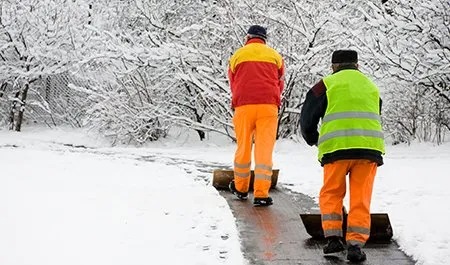 Local garden landscaping in Grand Rapids, MI - Aaabsolute Services
