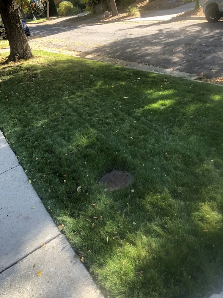 Top-rated lawn mowing service in Salt Lake City, UT - Aabco Landscaping