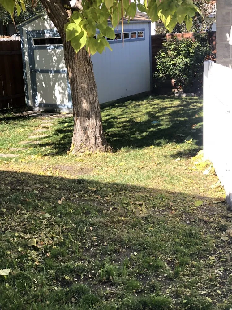 Affordable landscape design for residential properties in Salt Lake City, UT by Aabco Landscaping