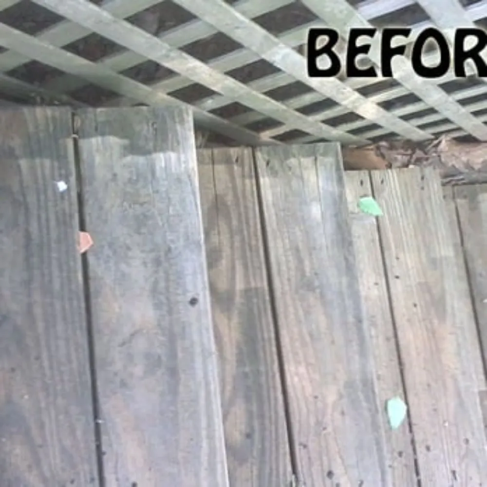 Expert garden landscaping for year-round maintenance in Greensboro, NC by AAC Pro Cleaning