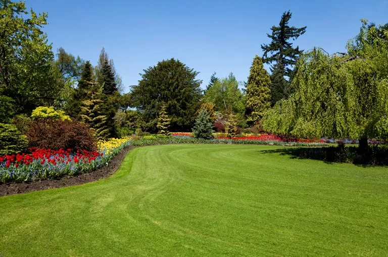 Trusted landscaping services in Raleigh, NC by Aadams Tree & Landscape Experts