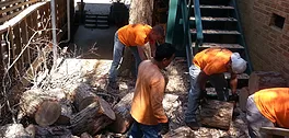 Local landscape installation for outdoor upgrades across Raleigh, NC - Aadams Tree & Landscape Experts