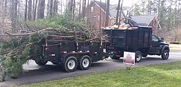 Professional landscaping services near you in Raleigh, NC by Aadams Tree & Landscape Experts