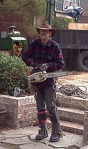 Reliable yard cleanup service in Raleigh, NC by Aadams Tree & Landscape Experts