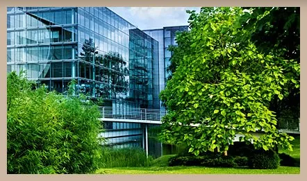 Expert lawn care service for beautiful yards in Raleigh, NC by Aadams Tree & Landscape Experts