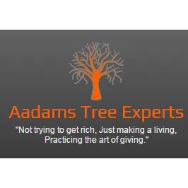 Affordable outdoor landscaping with custom design in Raleigh, NC by Aadams Tree & Landscape Experts