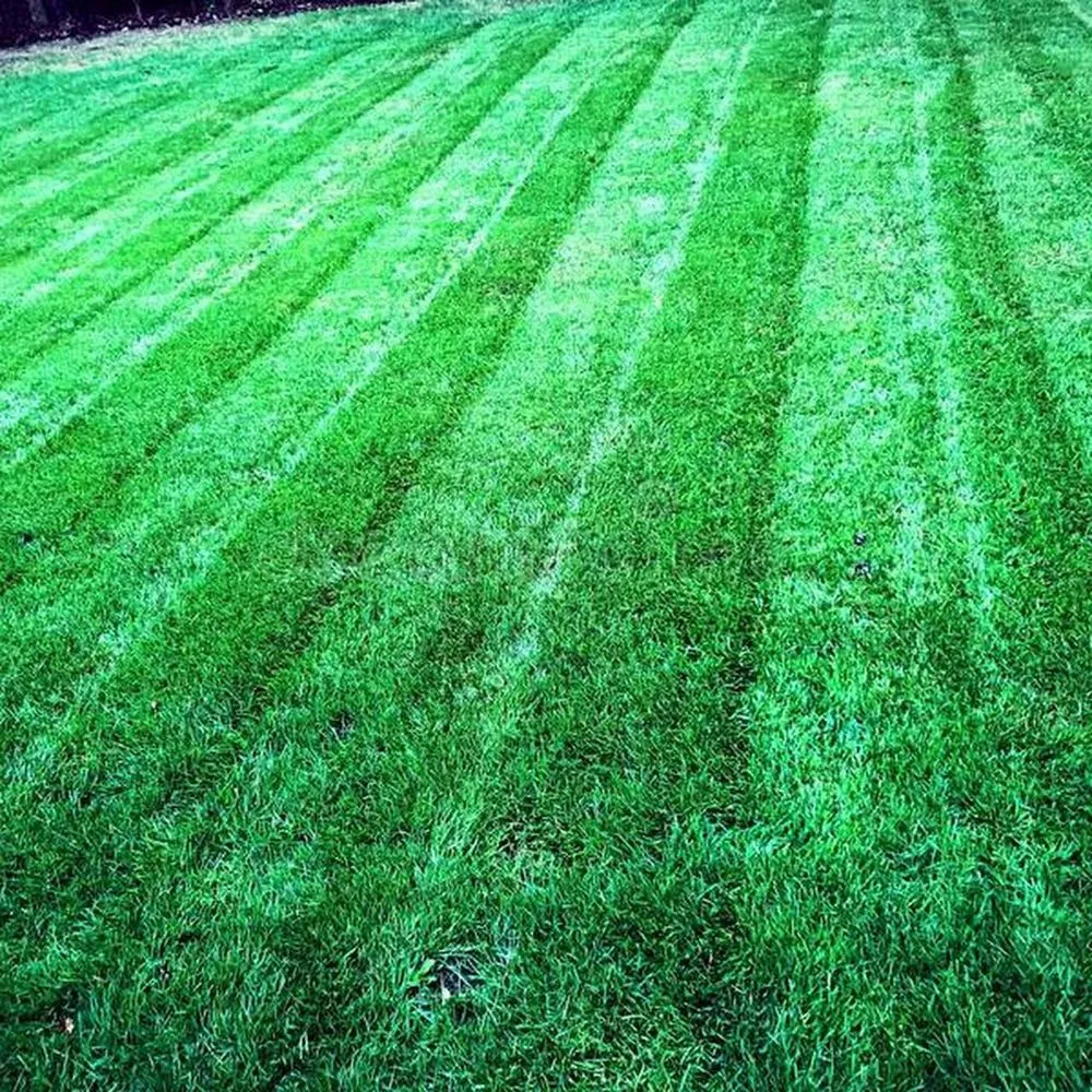 Expert landscaping services with custom design in Xenia, OH by AAE Lawn & Landscaping