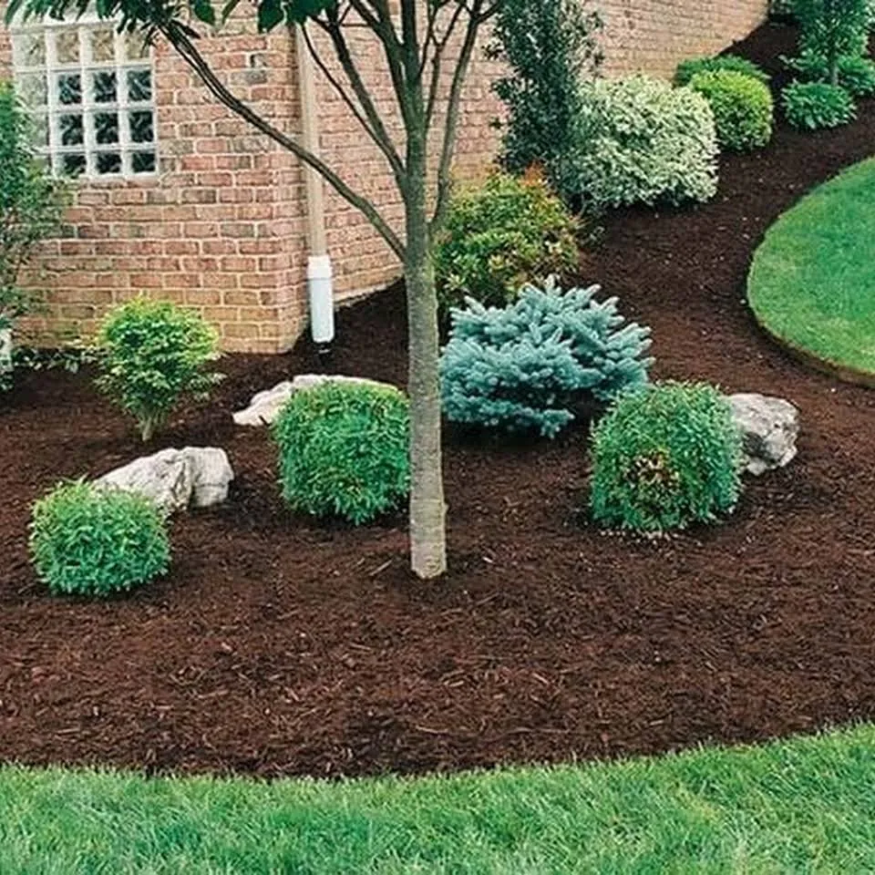 Local yard cleanup service experts serving Xenia, OH - AAE Lawn & Landscaping