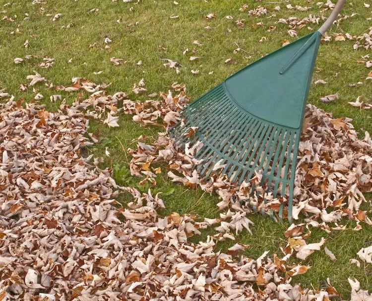 Custom yard maintenance in Xenia, OH by AAE Lawn & Landscaping