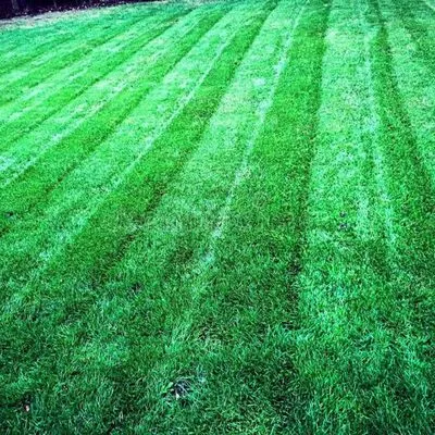 AAE Lawn & Landscaping