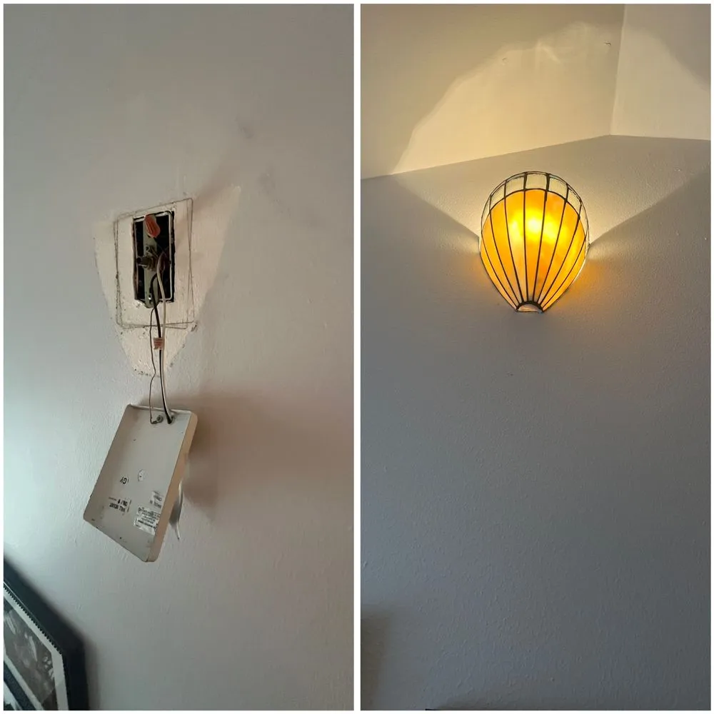 Professional yard cleanup service in Fort Worth, TX by AAG Handyman Renovations