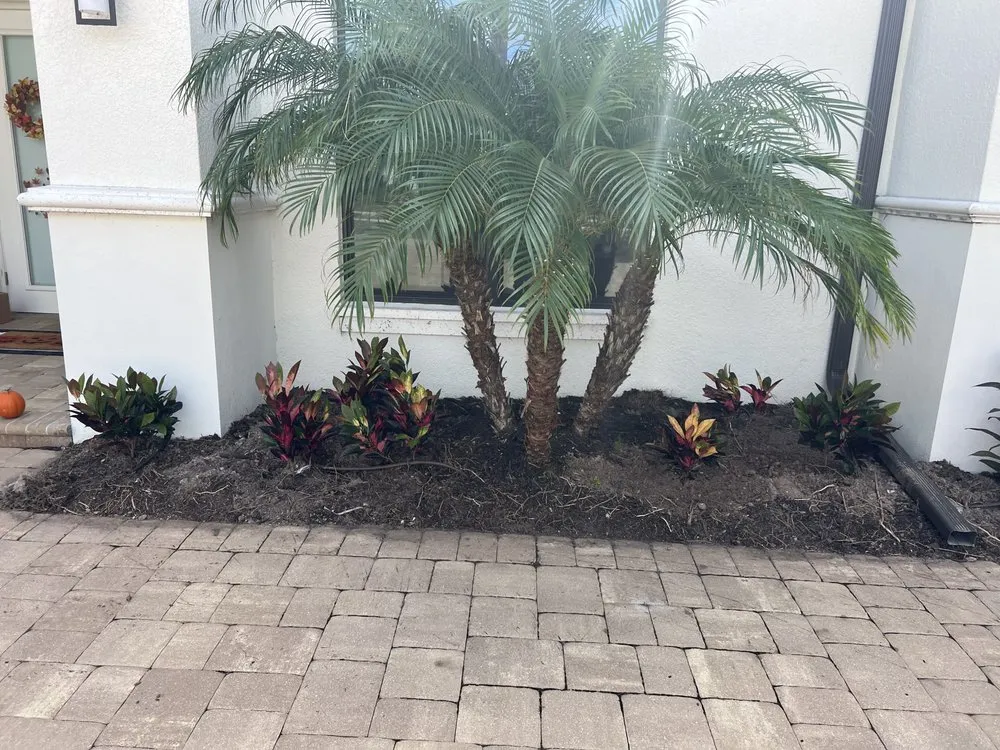 Professional landscape design experts serving Bradenton, FL - AAG Landscape Design & Install