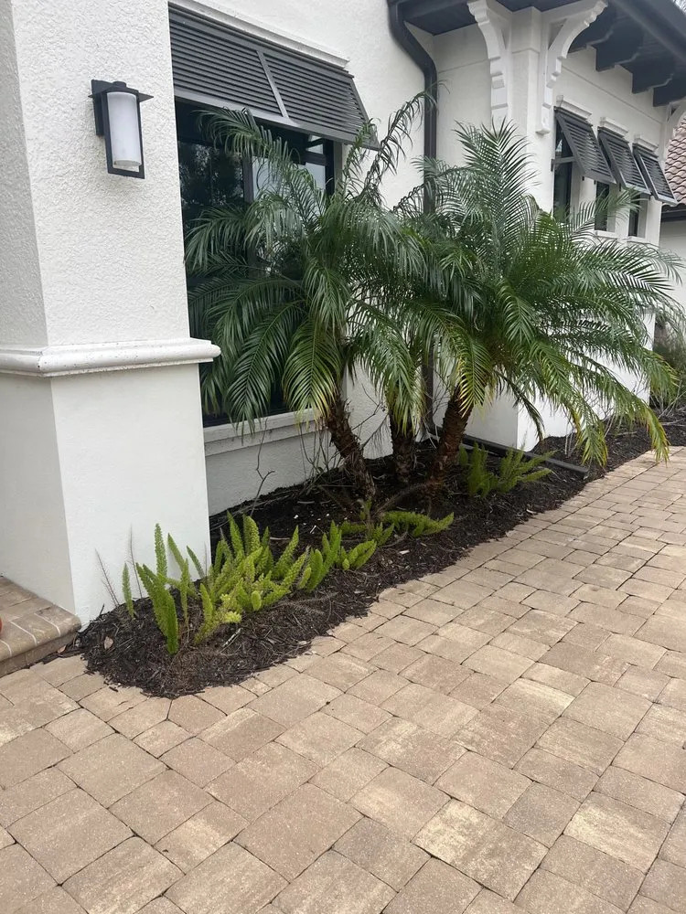Custom yard maintenance for year-round maintenance in Bradenton, FL by AAG Landscape Design & Install