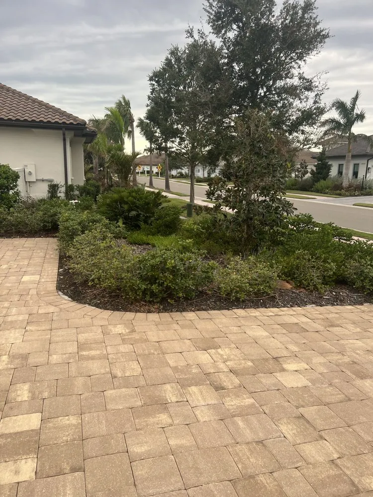 Top-rated yard cleanup service in Bradenton, FL - AAG Landscape Design & Install