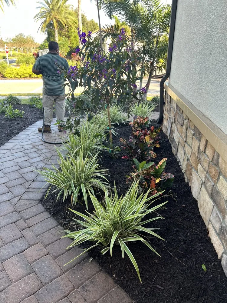 Local yard maintenance in Bradenton, FL by AAG Landscape Design & Install
