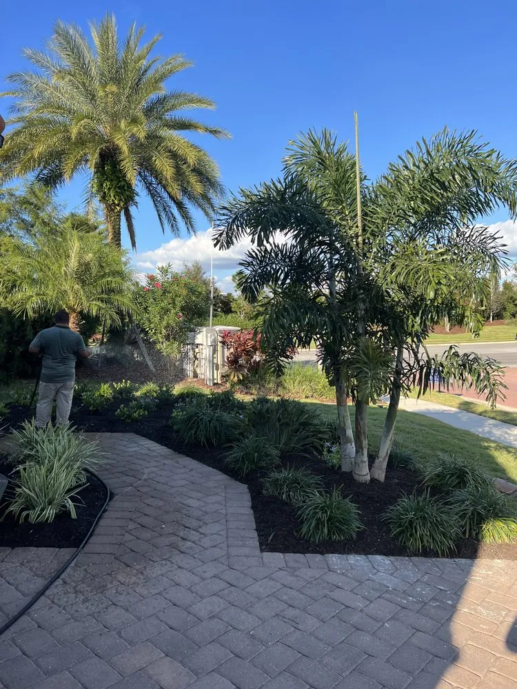 Expert yard maintenance in Bradenton, FL - AAG Landscape Design & Install