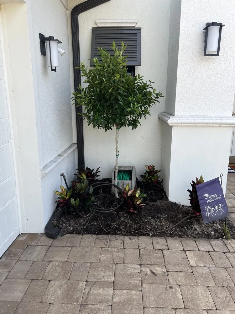 Affordable yard maintenance for beautiful yards in Bradenton, FL by AAG Landscape Design & Install