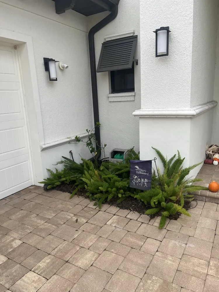 Expert outdoor landscaping experts serving Bradenton, FL - AAG Landscape Design & Install