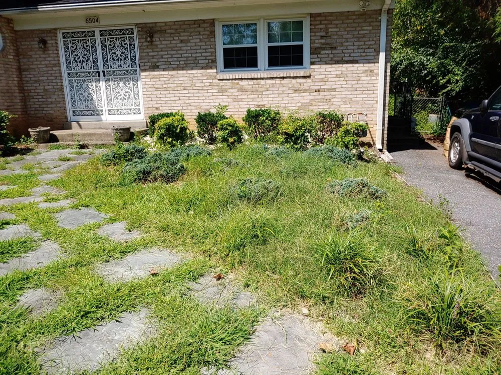 Top-rated residential landscaping for year-round maintenance across Columbia, MD - AAI Property Preservation