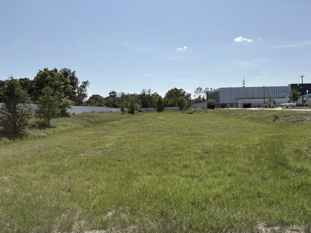 Local yard maintenance in Tampa, FL by AAIM Pro Lawns